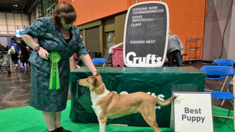 Keira Martin with her dog Chester at Crufts