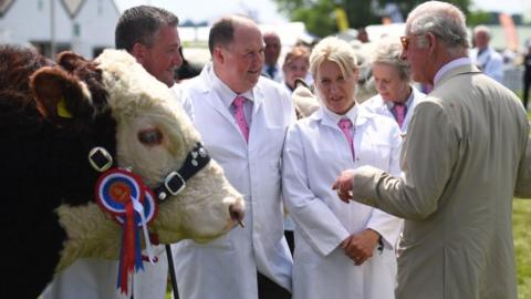 Great Yorkshire Show