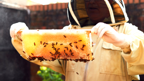 Beekeeper with honeycomb and beehive