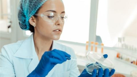 Testing in medical lab - stock image