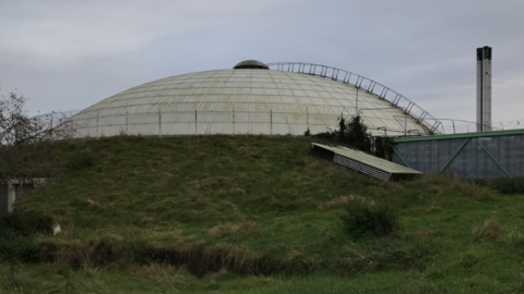 Oasis dome