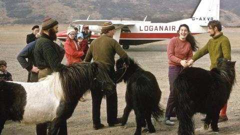 In 1976, Loganair flew Shetland ponies to Fair Isle after 80 years of their absence on the island