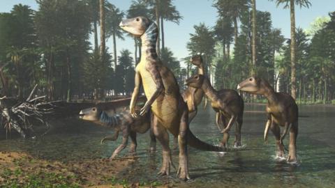 An artists rendering of what the Weewarrasaurus pobeni would have looked like 100 million years ago.