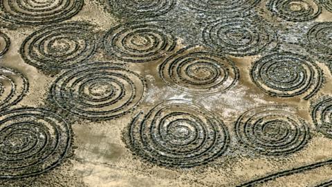 Detail of a picture showing circles on the ground