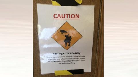 Crows warning sign