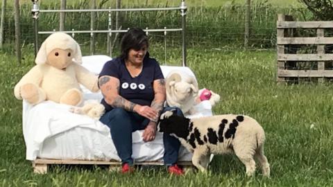 Dolly Sen and sheep