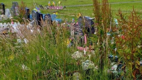 Overgrown graves at Landican Cemetery