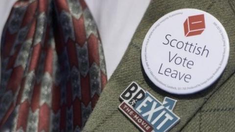 scottish vote leave badge