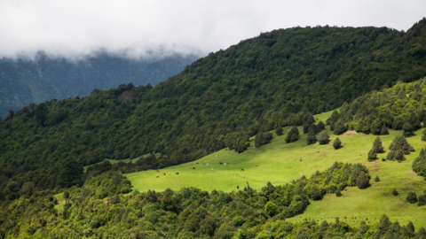 Sakteng sanctuary