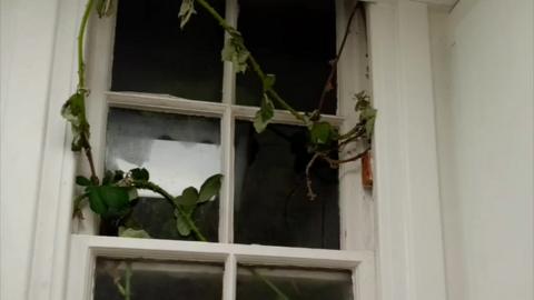 Bramble growing through the window