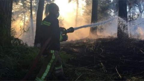 Fighting woodland fire near Alton