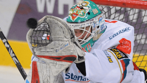 The Giants netminder makes a save against Sheffield