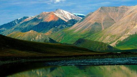 The wilderness in Alaska