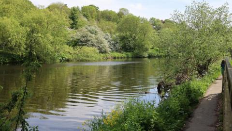 River Tees