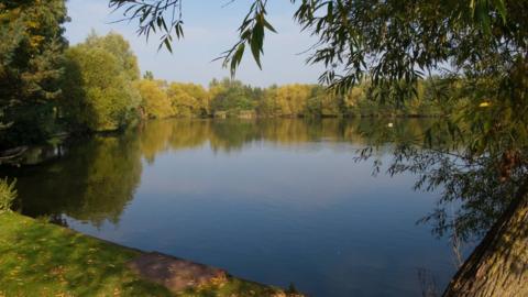 Needham lake