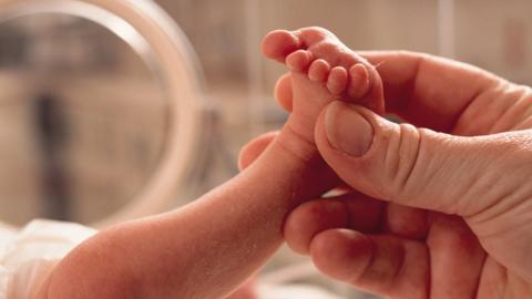 Small premature baby lies in an incubator a grown hand reaches in grasping the foot in caring manner - stock photo