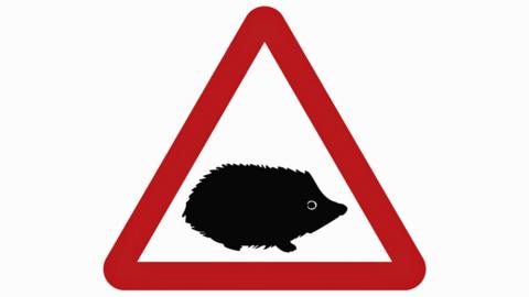 New road sign featuring hedgehog