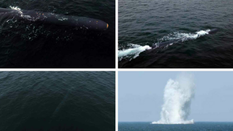 North Korean state media published these images of the "underwater nuclear system" when the drones were revealed last year