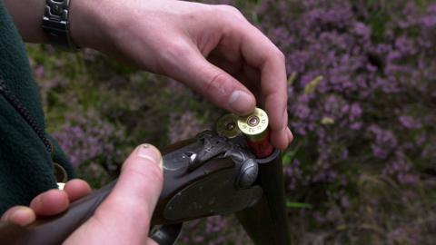 Cartridge being loaded into a shotgun