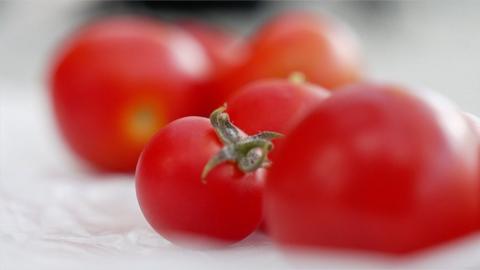 Gene edited tomatoes