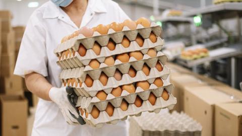 A woman carrying eggs