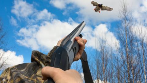 Duck shooting