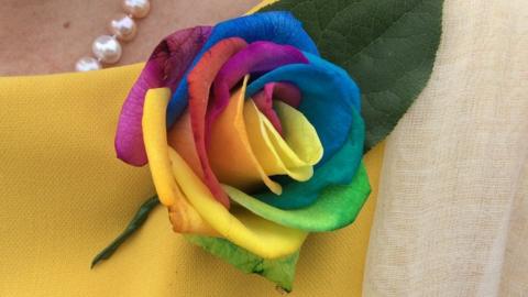 guest's rainbow rose