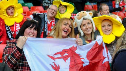 A group of rugby fans with daffodils and sheep and Wales flags