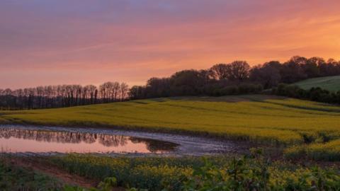 THURSDAY - Rural Wimborne at Sunrise