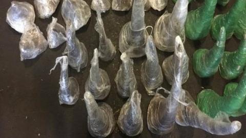 Rhino horns in plastic