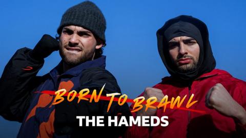 Born To Brawl: The Hameds
