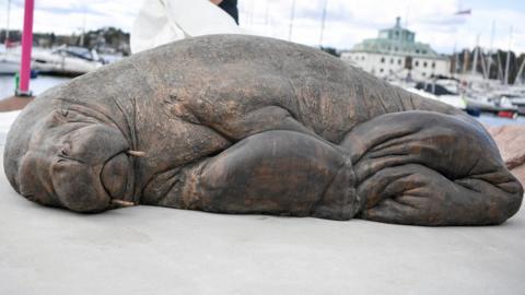 The bronze life-size statue to Walrus Freya in Oslo. Photo: 29 August 2023