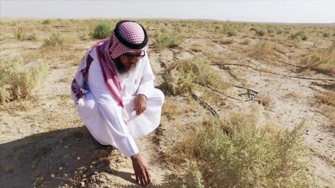 Ali al-Dousari with desert plants