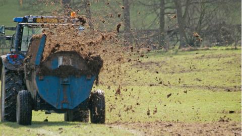 A tractor muck-spreading