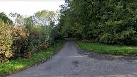 Wyfold Lane, Peppard Common