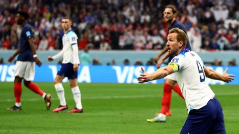 Harry Kane appeals after going down during the game