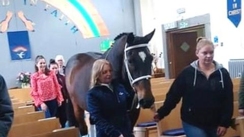 Olly the horse in church