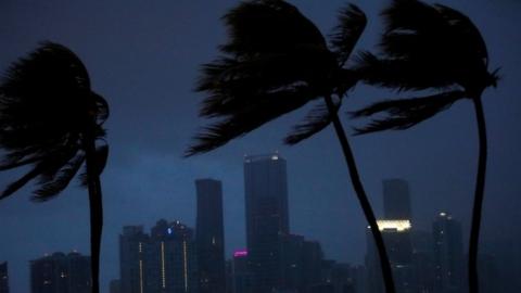 Trees sway in strong winds in Miami, Florida. Photo: 9 September 2017