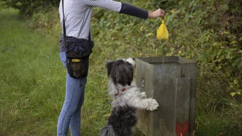Dog walker putting a poo bag in the bin
