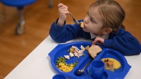 Primary pupil school meal