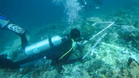 A handout photo made available by Indonesian Maritime Affairs and Fisheries Ministry on 15 March 2017 shows Indonesian officers in diving gear as they inspect the damaged coral reefs in Raja Ampat, Indonesia.