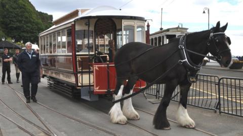 Horse tram at Strathallan terminal