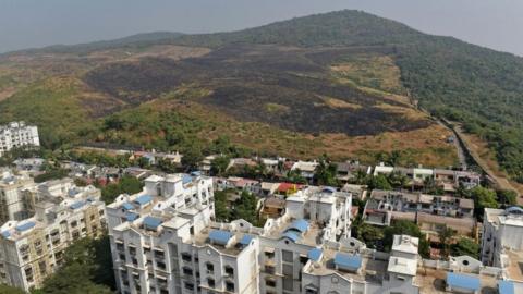 Aarey Forest