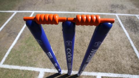 cricket stumps