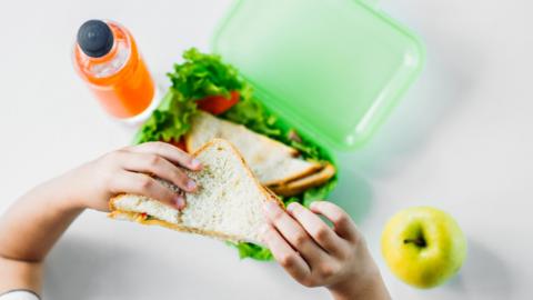 Lunchbox with kids arms holding sandwich
