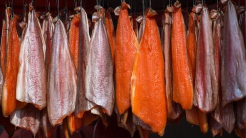 Salmon hanging from hooks to be smoked
