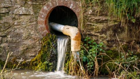 Water flows from a drain into a river in the UK