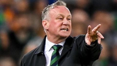 Northern Ireland manager Michael O'Neill