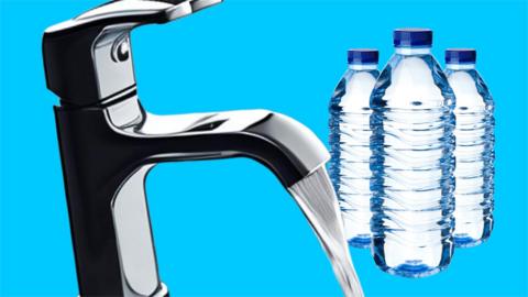 Tap and bottled water.
