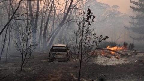 A burnt out car in New South Wales